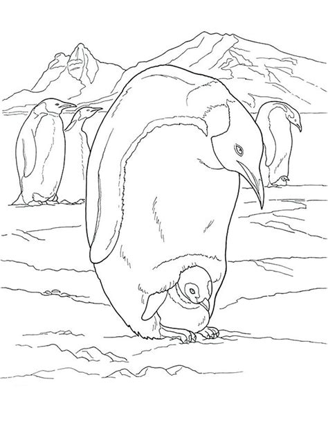Antarctica Coloring Pages For Kids
