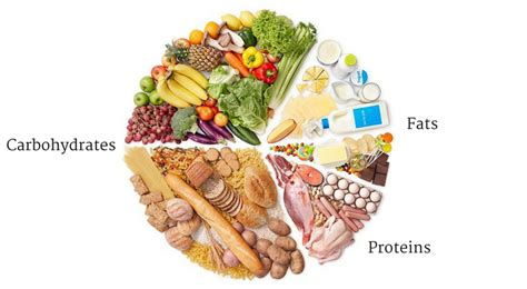 Click on the links below to discover the functions, recommended dietary intake, and food sources of the different nutrients our bodies need. What are Macronutrients? - Paleo Princessa