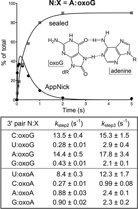 Kinetic Mechanism Of Nick Sealing By T4 Rna Ligase 2 And Effects Of 3