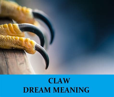Claw Dream Meaning - Top 14 Dreams About Claws : Dream Meaning Net