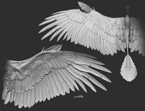 Wings Drawing Wings Art Bird Wings Mythological Creatures Fantasy