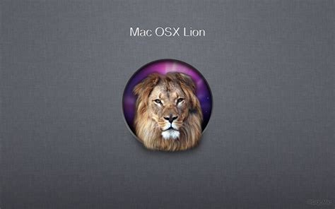 Download Os X Lion Desktop Wallpaper Hd By Ksandoval Mac Lion