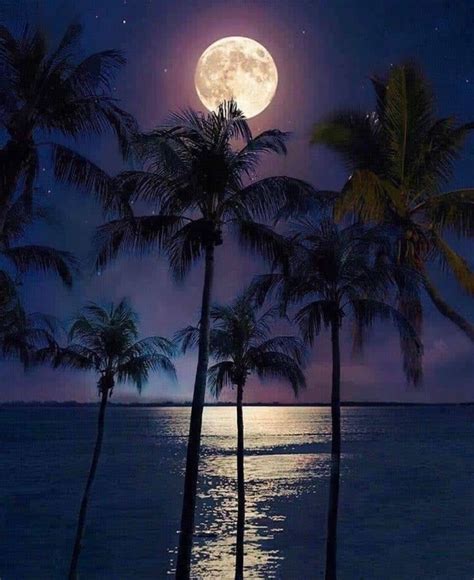 Pin By Danise Mcclung On Moons Beautiful Moon Moon Photography