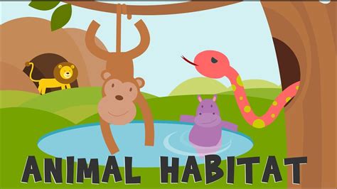 Animal Habitats Animal Homes Animals Video For Kids