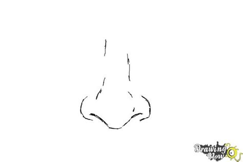 To give a little more realism, you can depict the nose bridge; How to Draw a Nose Step by Step - DrawingNow
