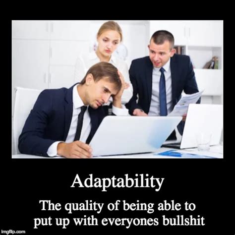 Adaptability Imgflip