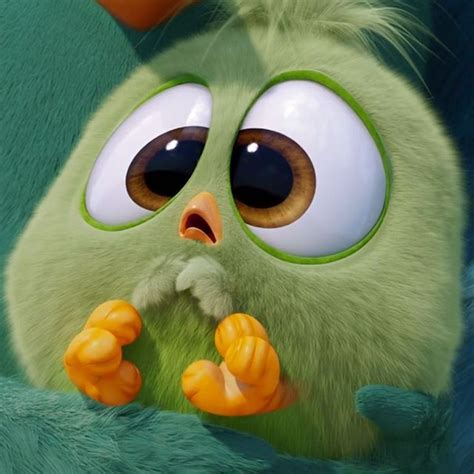 16 Best Cute Animals Images On Pinterest Angry Bird Movie Cartoon