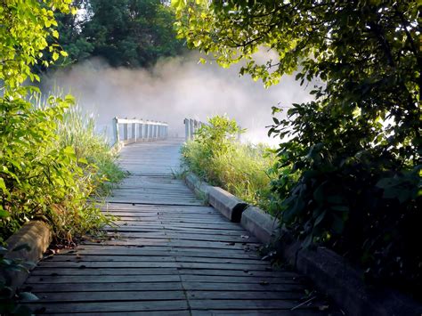 Free Picture Fog Wooden Bridge Walkway