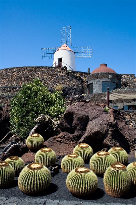 Cactus Garden Last Work Of Local Artist Cesar Manrique Canary Islands