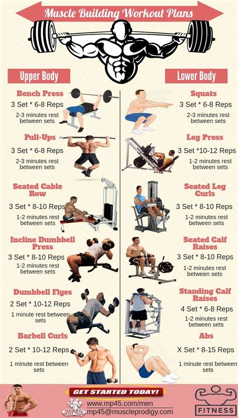 Pin By Jose Acosta On Fitness Muscle Building Workout Plan Workout