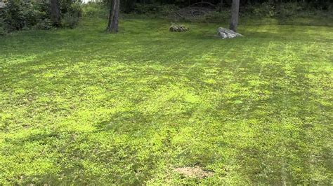 Time Lapse Grass Mowing Youtube