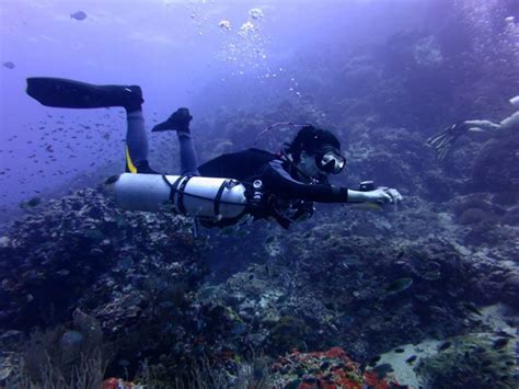 Koh Tao Diving Roctopus Dive Scuba Thailand