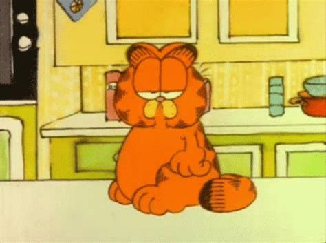 Sleepy Garfield In Kitchen Gif Gifdb Com My Xxx Hot Girl