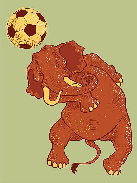 Elephants Playing Soccer Illustrations Royalty Free Vector Graphics