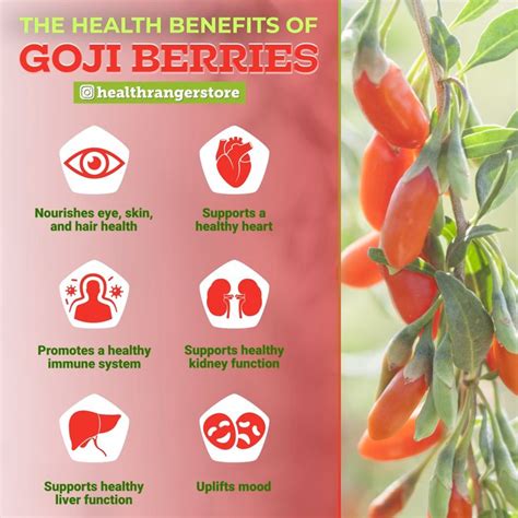 The Amazing Health Benefits Of Goji Berries Video Zahnpflege Zähne