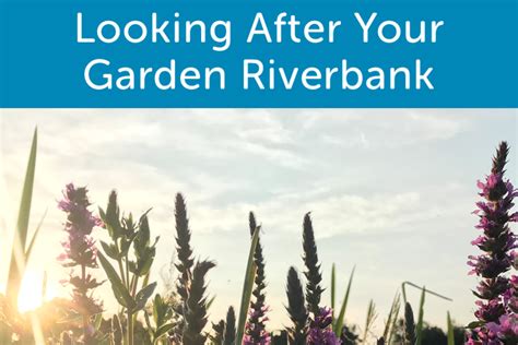 Garden Riverbank Guide Upper Deverills