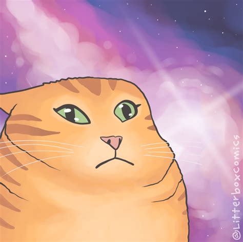 Cat Transcendence Meme Litterbox Comics