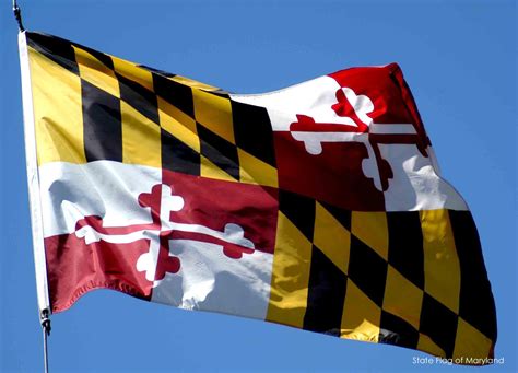 The Confederacy And Marylands State Flag Allyn Gibson
