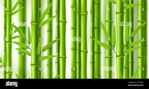 Bamboo Background Lush Bamboo Zen Grove Natural Green Stems Wall With Leaves Vector