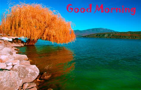 Good Morning Images Wallpaper Pics Download With Beautiful Nature