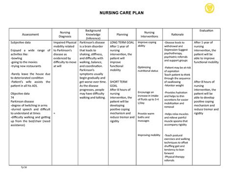 Nursing Care Plan Practice Nursing Care Plan Assessment Nursing