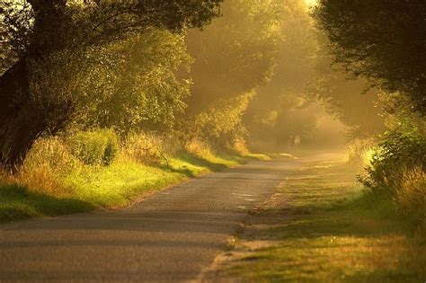 A Solitary Walk Down A Sunlit Path Monogramsvacation Beautiful