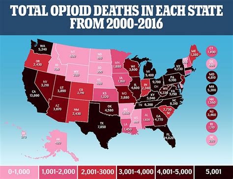 The Opioid Epidemic Cost State And Federal Governments 38billion In