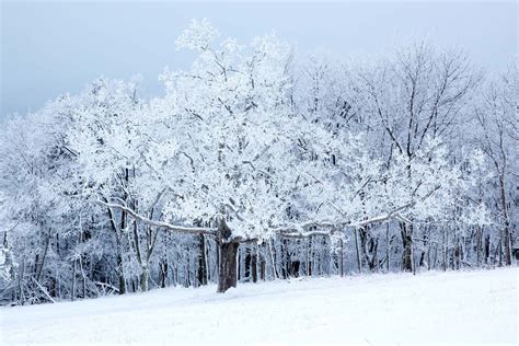 Snowy Etchings Shenandoah National Park Ed Fuhr Photography