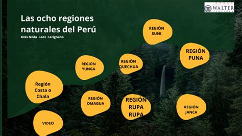 Ocho Regiones Naturales Del Perú By Nilda Rosa Laos Carignano On Prezi