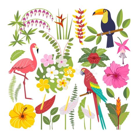 Set Of Tropical Birds Stock Vector Illustration Of Fashion 109415373