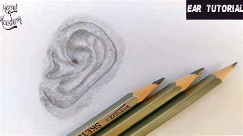 How To Draw An Ear For Beginners Step By Step Easy Way To Draw