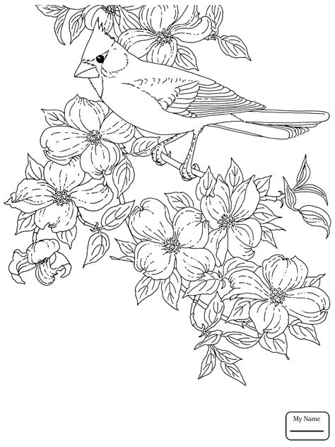 Kizicolor.com provides a large diversity of free printable coloring pages for kids, available in over 16 languages, coloring sheets, free colouring book, illustrations, printable pictures, clipart, black and white pictures, line art and drawings.all of the rights belong to their respective owners. Orioles Coloring Pages at GetDrawings | Free download