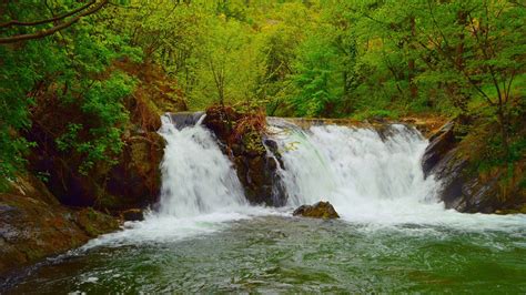 Waterfalls Pouring On River Surrounded By Green Trees Forest Background