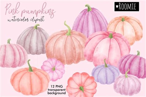 Watercolor Pastel Pink Pumpkin Png Halloween Fall Clipart