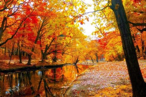 Autumn Landscape Wallpaper ·① Wallpapertag