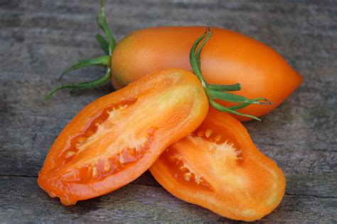 Orange Banana Legs Tomato Seeds Organic Seed Heirloom Tomato Etsy