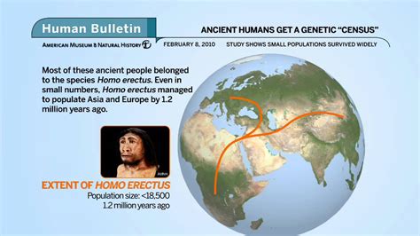science bulletins ancient humans get a genetic census youtube