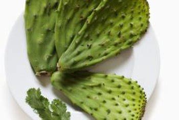 Here's how to use cactus for weight loss to receive maximum benefits! How to Plant Nopales | Home Guides | SF Gate