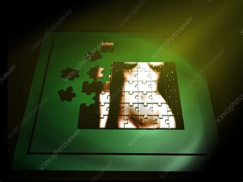 Nude Jigsaw Stock Image P890 0636 Science Photo Library