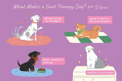 How To Train A Puppy To Be A Therapy Dog