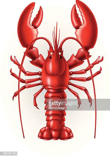 Lobster Claws Photos And Premium High Res Pictures Getty Images