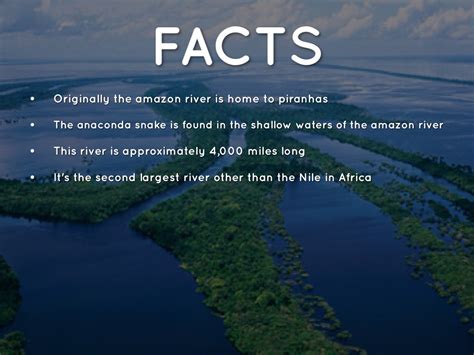 The Largest River In The World The Amazon River