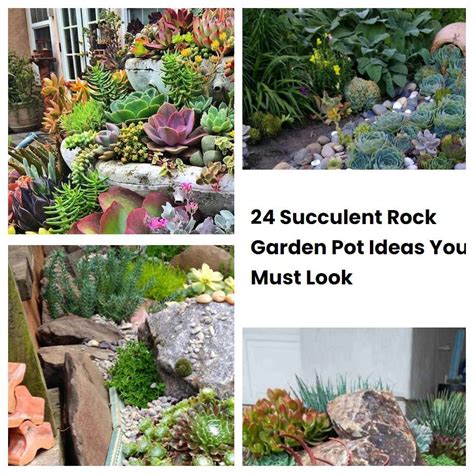 24 Succulent Rock Garden Pot Ideas You Must Look SharonSable