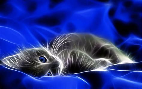 The simplest way to open settings menu is double clicking on the date skin. CGI Kitten HD Wallpaper | Background Image | 1920x1200 | ID:700285 - Wallpaper Abyss