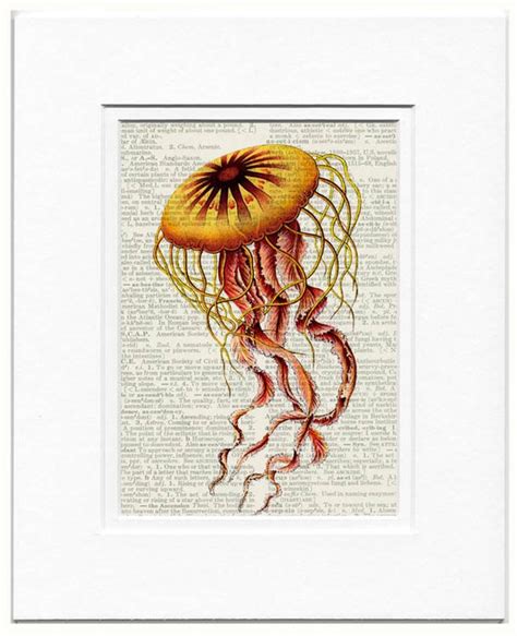 Jellyfish Print Vintage Sea Jelly Printed On Old By Fauxkiss