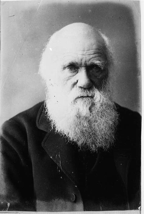 Charles Darwin The National Archives