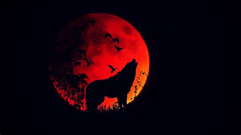 Tons of awesome wolf wallpapers 1920x1080 to download for free. Download wallpaper 1920x1080 wolf, howl, silhouette, full moon, fire moon full hd, hdtv, fhd ...