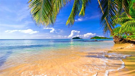 Free mobile download apk from our website, mobile site or mobiles24 on google play. Download Tropical Beach HD Wallpapers 1366x768 | 68 ...