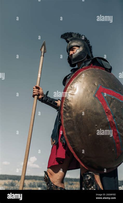 Ancient Spartan Warrior In Battle Dress Stands Among Meadow With Shield