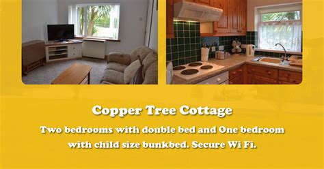 Copper Tree Cottage Devon Palms